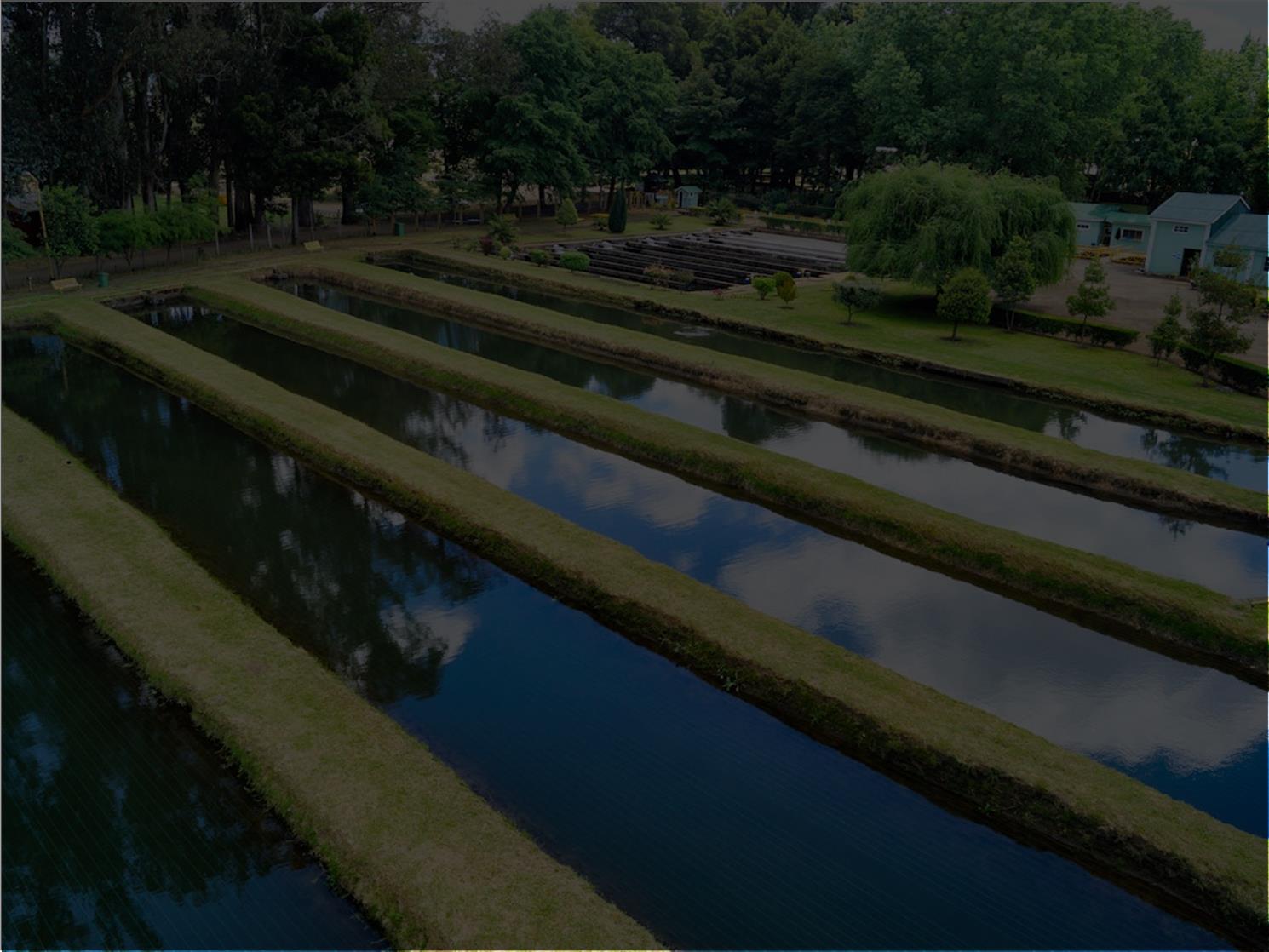 Irriwise Solutions Aquaculture