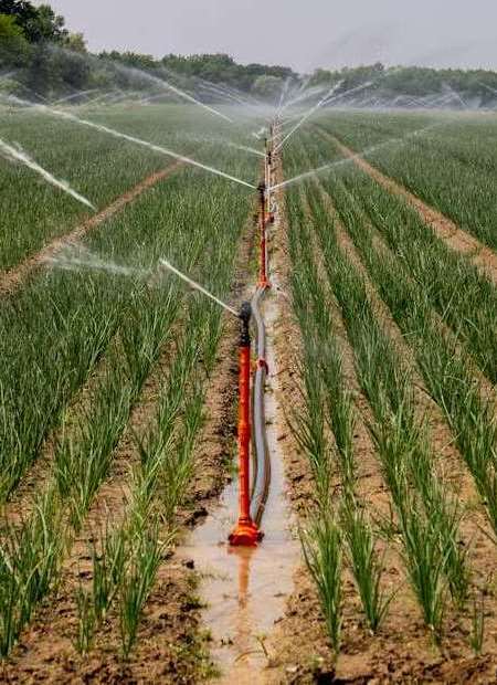 Irriwise Solutions