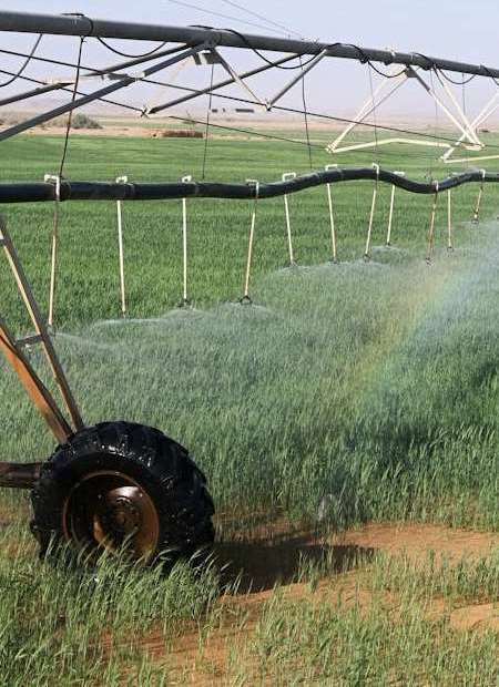 Irriwise Solutions